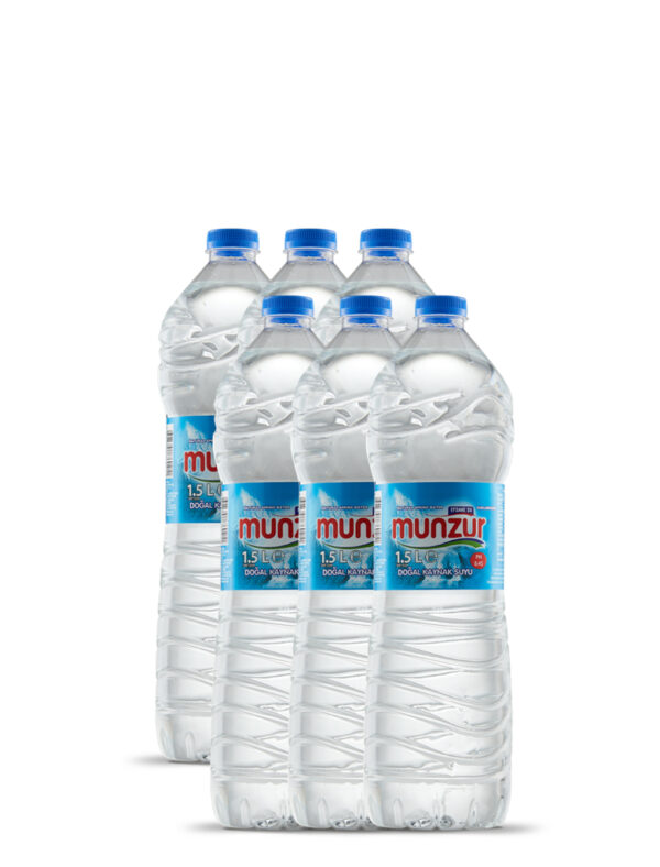 MUNZUR 1.5L PET SISE SU 6 ADET